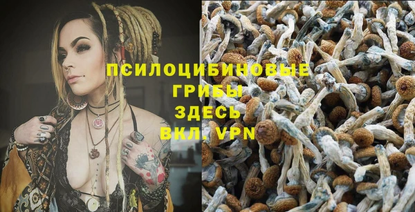 ALPHA PVP Армянск