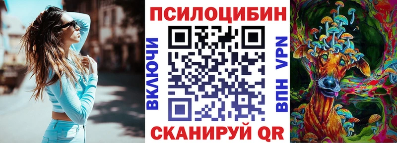 Галлюциногенные грибы Psilocybine cubensis  купить наркоту  Пласт 
